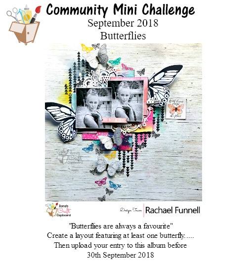 41748703_1779864508802559_501826680399069184_n (1)