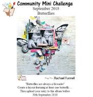 41748703_1779864508802559_501826680399069184_n (1)