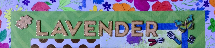 May 2019 CKC Forgery on the&nbsp;Third!